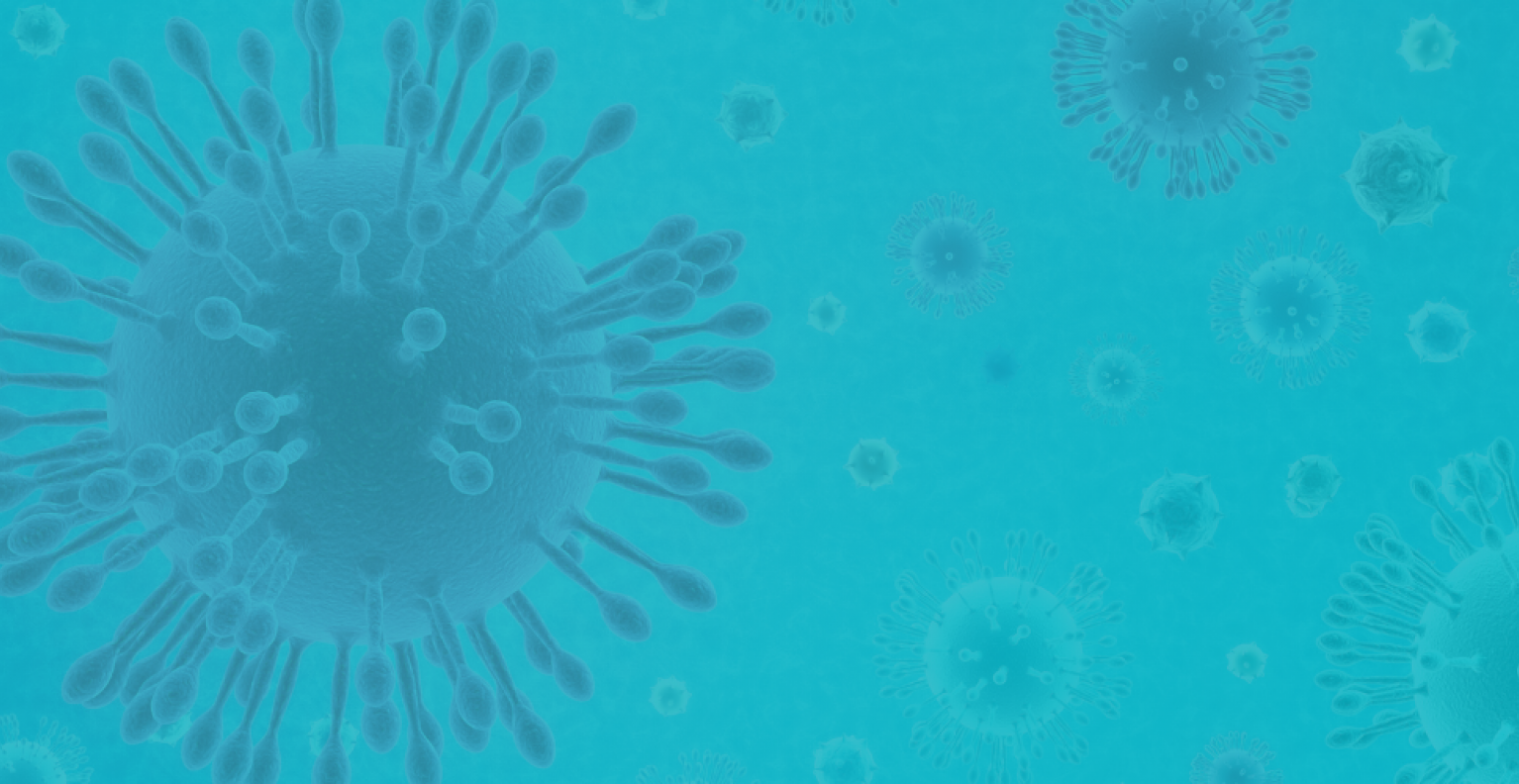 Update Coronavirus 